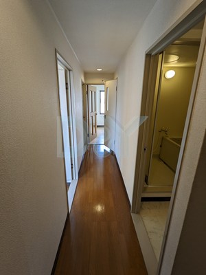  5枚目