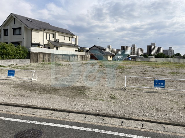 6枚目