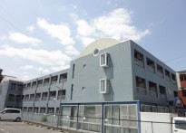 グラフィーネ向島 215号室