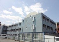 グラフィーネ向島 211号室