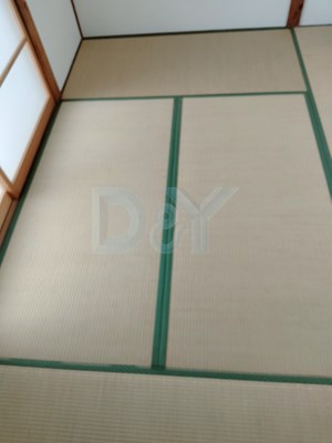  11枚目